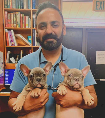 Dr. Mandeep Sidhu, Citrus Heights Veterinarian