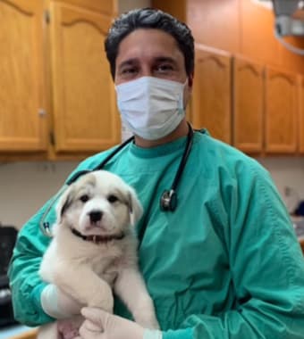 Dr. Manpreet Brar, Citrus Heights Veterinarian